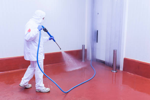 Best Sidewalk and Walkway Pressure Cleaning in Lindale, TX
